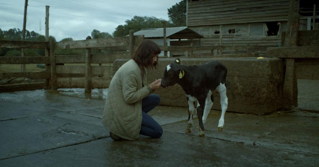 [CRITIQUE] La vache qui chantait le futur